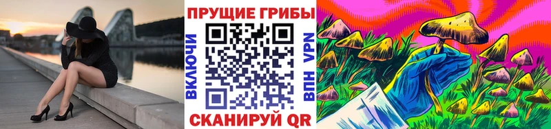 Псилоцибиновые грибы прущие грибы  Купить где  Кудымкар 
