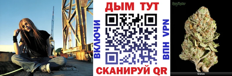Купить где  Кудымкар  Канабис индика 